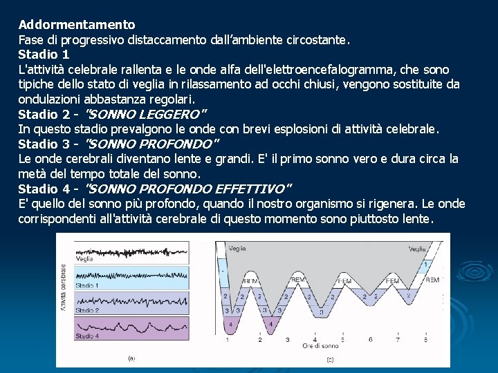 Addormentamento Fase di progressivo distaccamento dall’ambiente circostante. Stadio 1 L'attività celebrale rallenta e le