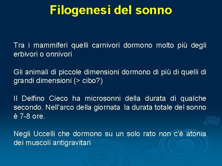 Filogenesi del sonno Tra i mammiferi quelli carnivori dormono molto più degli erbivori o