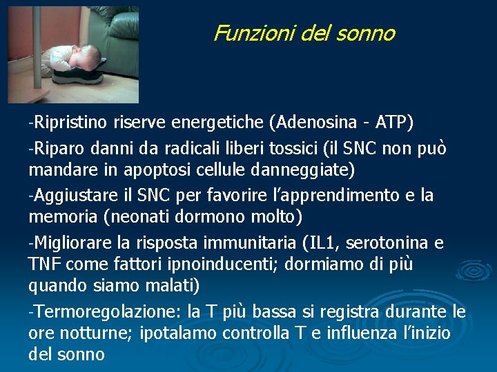 Funzioni del sonno -Ripristino riserve energetiche (Adenosina - ATP) -Riparo danni da radicali liberi