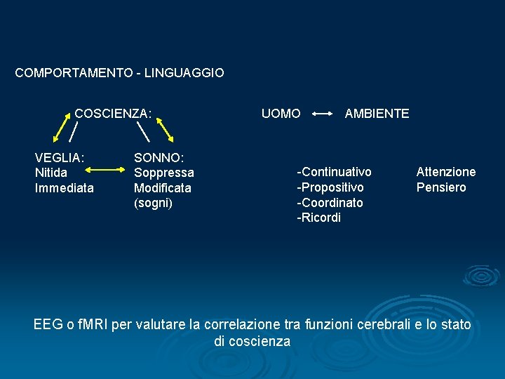 COMPORTAMENTO - LINGUAGGIO COSCIENZA: VEGLIA: Nitida Immediata SONNO: Soppressa Modificata (sogni) UOMO AMBIENTE -Continuativo