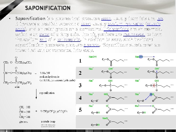 SAPONIFICATION • Saponification is a process that produces soap, usually from fats and lye.