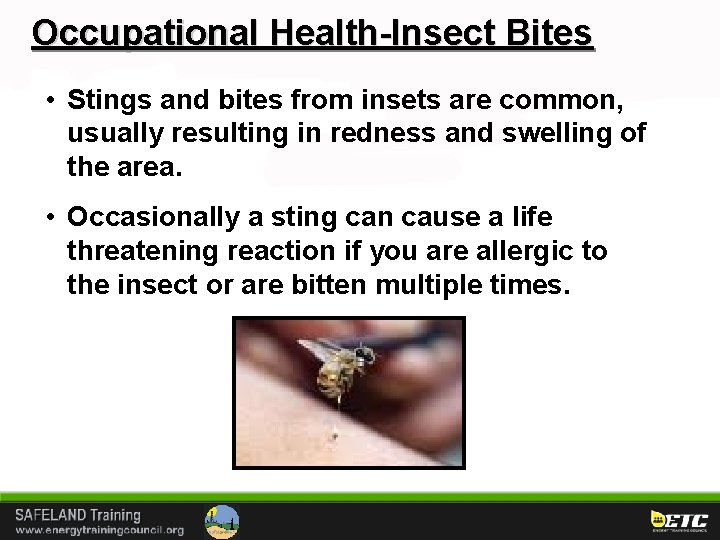 Occupational Health-Insect Bites • Stings and bites from insets are common, usually resulting in