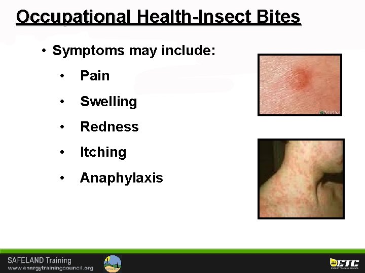 Occupational Health-Insect Bites • Symptoms may include: • Pain • Swelling • Redness •