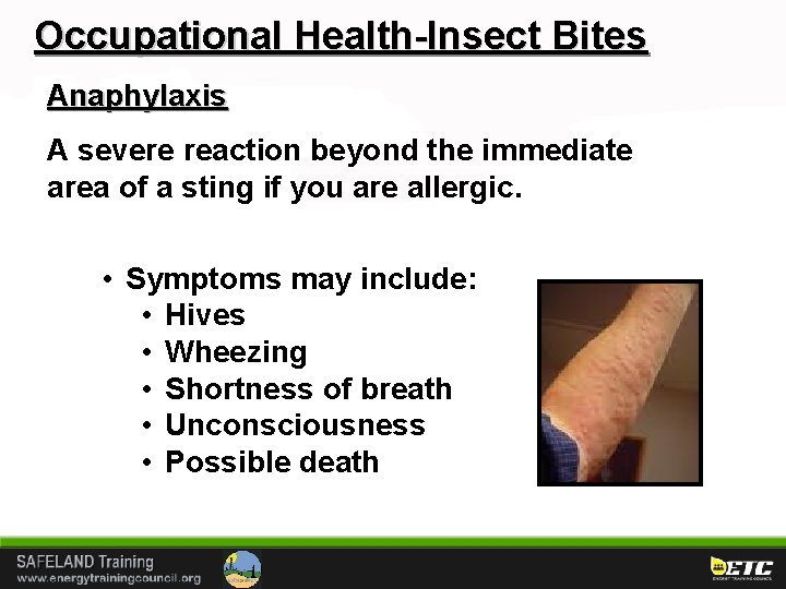 Occupational Health-Insect Bites Anaphylaxis A severe reaction beyond the immediate area of a sting