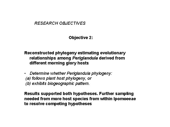 RESEARCH OBJECTIVES Objective 2: Reconstructed phylogeny estimating evolutionary relationships among Periglandula derived from different