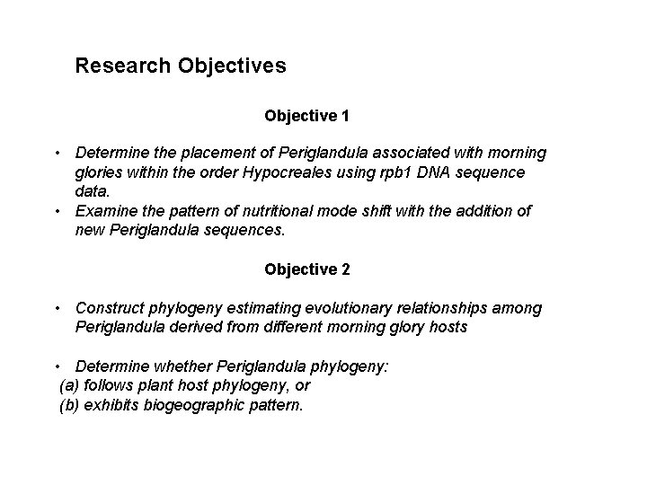 Research Objectives Objective 1 • Determine the placement of Periglandula associated with morning glories