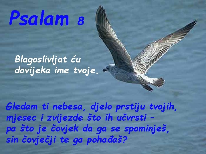 Psalam 8 Blagoslivljat ću dovijeka ime tvoje. Gledam ti nebesa, djelo prstiju tvojih, mjesec