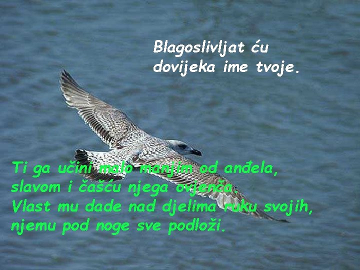 Blagoslivljat ću dovijeka ime tvoje. Ti ga učini malo manjim od anđela, slavom i