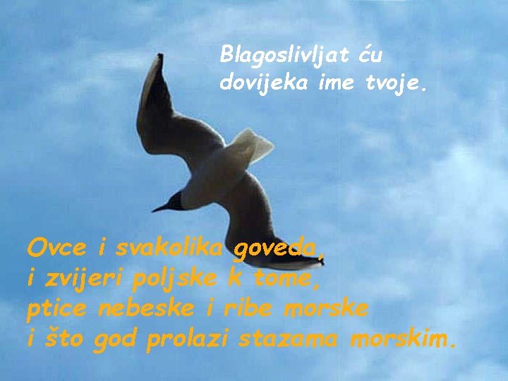 Blagoslivljat ću dovijeka ime tvoje. Ovce i svakolika goveda, i zvijeri poljske k tome,