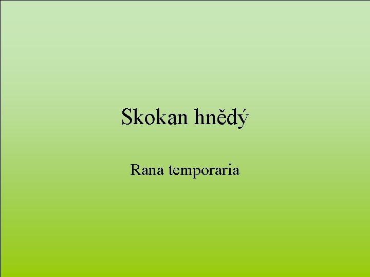 Skokan hnědý Rana temporaria 