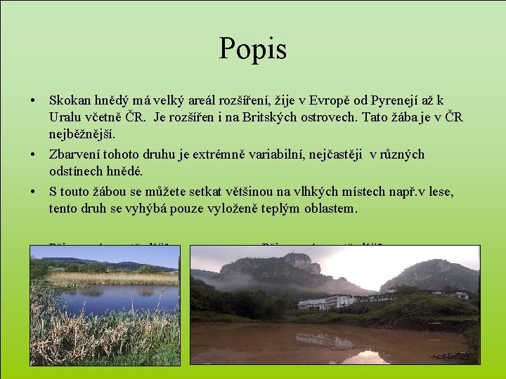 Popis • Skokan hnědý má velký areál rozšíření, žije v Evropě od Pyrenejí až