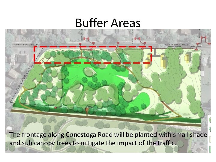 Buffer Areas The frontage along Conestoga Road will be planted with small shade and