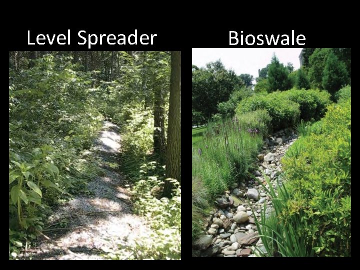 Level Spreader Bioswale 