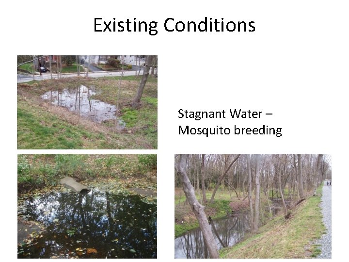 Existing Conditions Stagnant Water – Mosquito breeding 