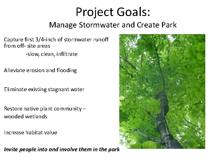 Project Goals: Manage Stormwater and Create Park Capture first 3/4 -inch of stormwater runoff