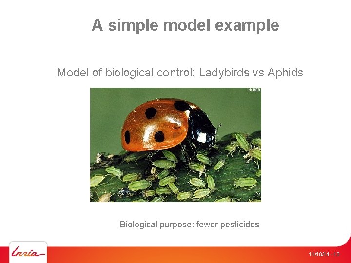 A simple model example Model of biological control: Ladybirds vs Aphids Biological purpose: fewer