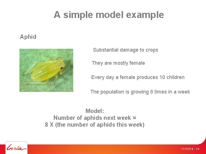 A simple model example Aphid Substantial damage to crops They are mostly female Every