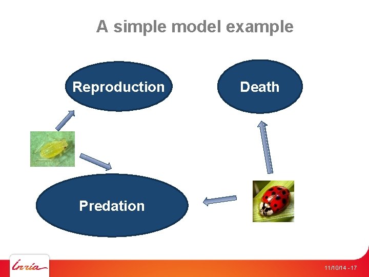 A simple model example Reproduction Death Predation 11/10/14 - 17 
