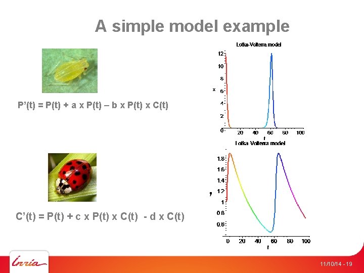 A simple model example P’(t) = P(t) + a x P(t) – b x
