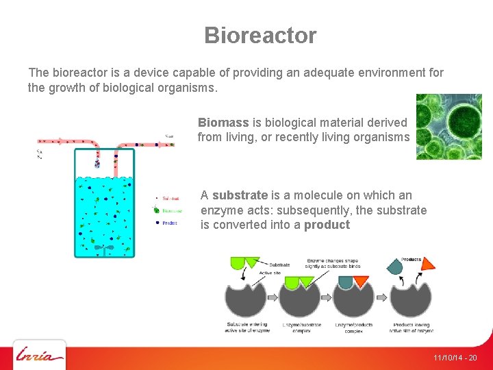 Bioreactor The bioreactor is a device capable of providing an adequate environment for the