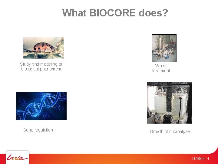 What BIOCORE does? Study and modeling of biological phenomena Gene regulation Water treatment Growth