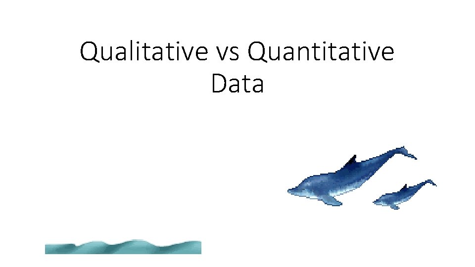 Qualitative vs Quantitative Data 