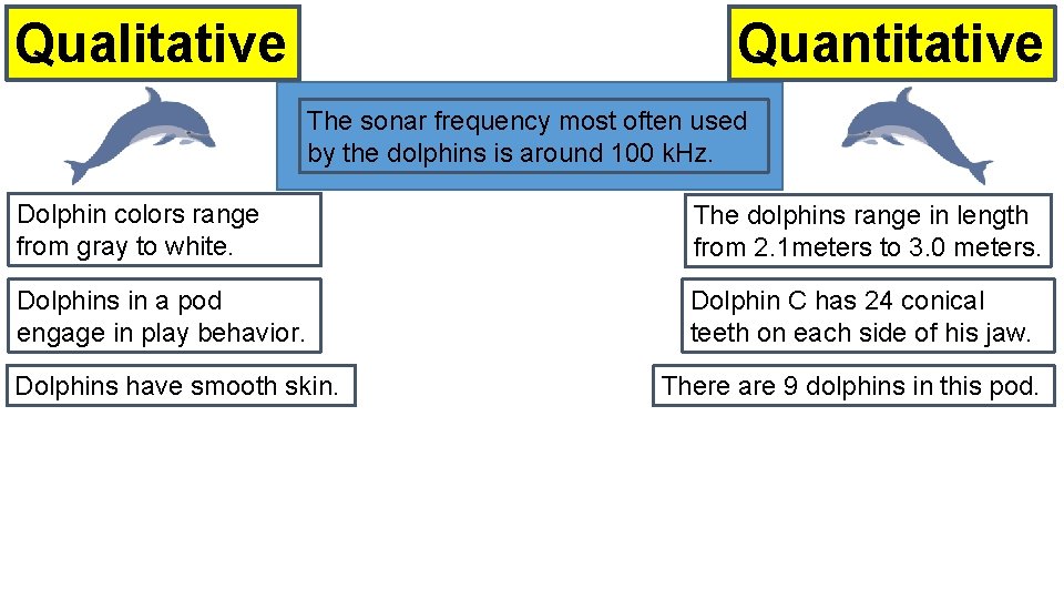 Quantitative Qualitative The sonar frequency most often used by the dolphins is around 100