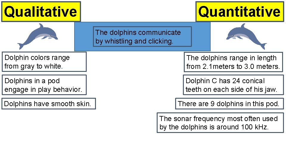 Quantitative Qualitative The dolphins communicate by whistling and clicking. Dolphin colors range from gray