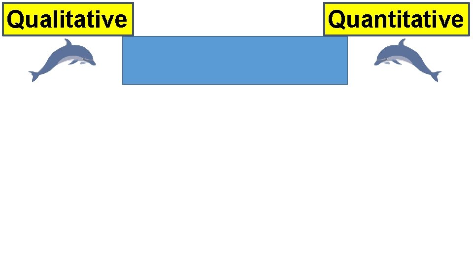 Qualitative Quantitative 