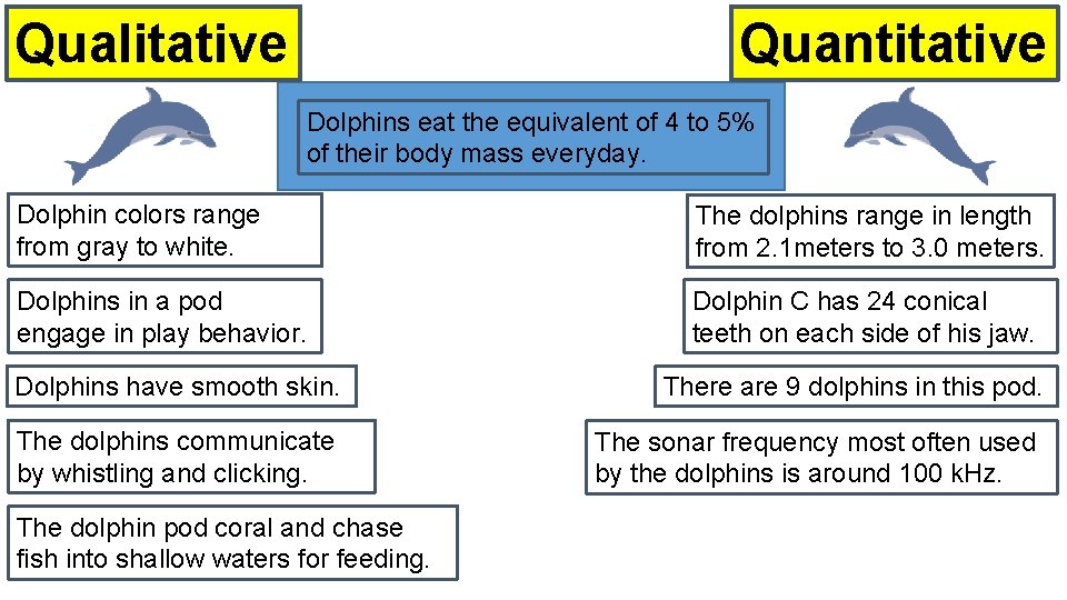 Quantitative Qualitative Dolphins eat the equivalent of 4 to 5% of their body mass