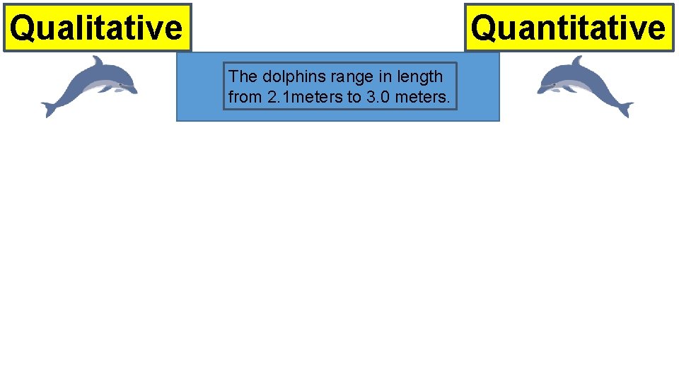Quantitative Qualitative The dolphins range in length from 2. 1 meters to 3. 0