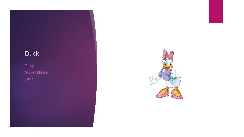 Duck Daisy Mickey Mouse Birds 