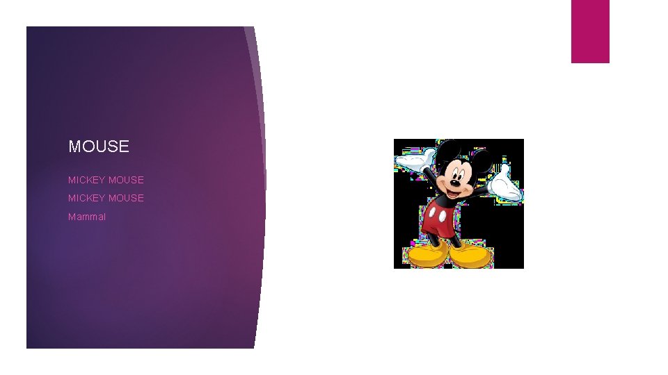 MOUSE MICKEY MOUSE Mammal 