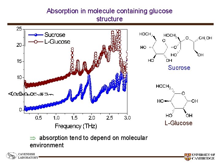 Absorption in molecule containing glucose structure Sucrose L-Glucose absorption tend to depend on molecular