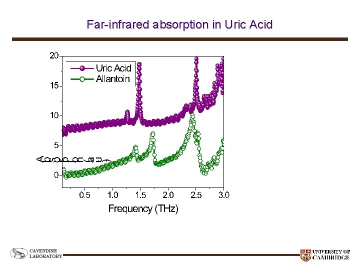 Far-infrared absorption in Uric Acid 