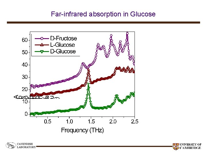 Far-infrared absorption in Glucose 