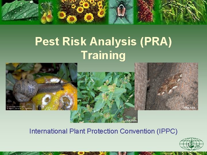 Pest Risk Analysis (PRA) Training CFIA-ACIA International Plant Protection Convention (IPPC) 1 