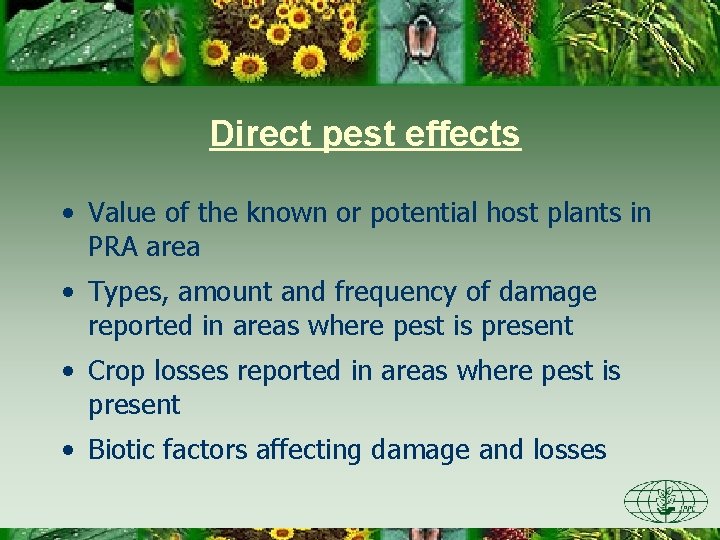 Direct pest effects • Value of the known or potential host plants in PRA