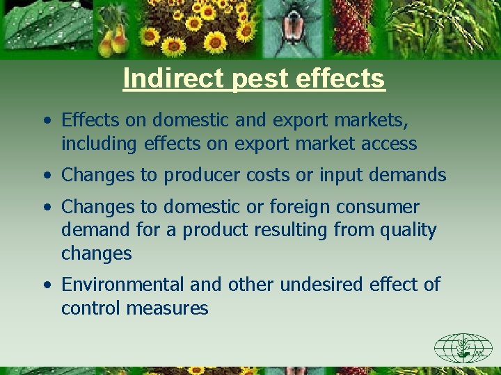 Indirect pest effects • Effects on domestic and export markets, including effects on export