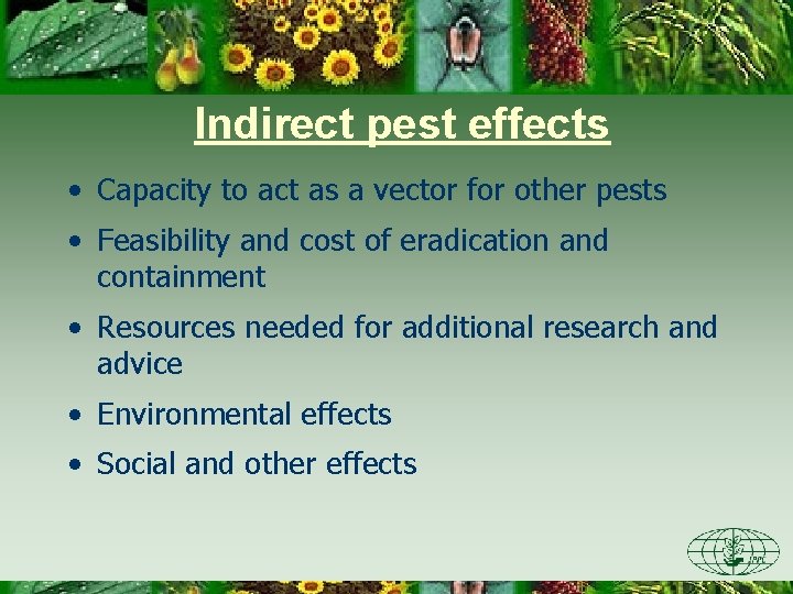 Indirect pest effects • Capacity to act as a vector for other pests •