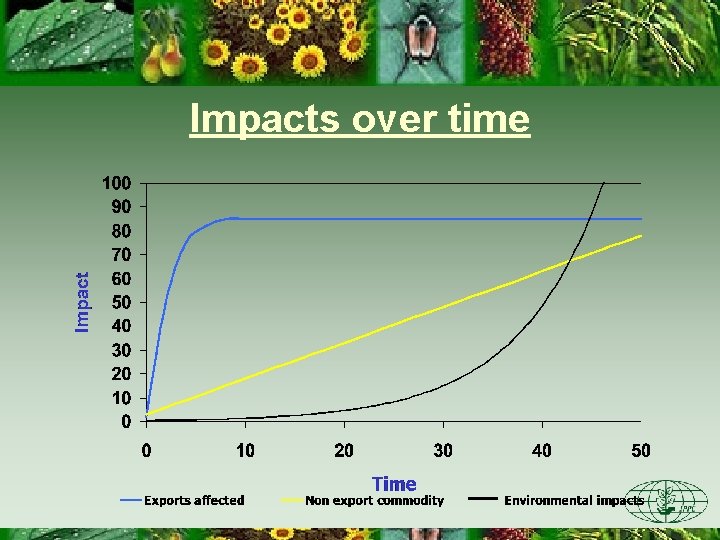Impacts over time 