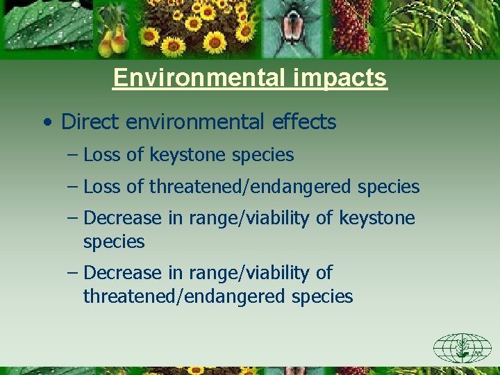 Environmental impacts • Direct environmental effects – Loss of keystone species – Loss of