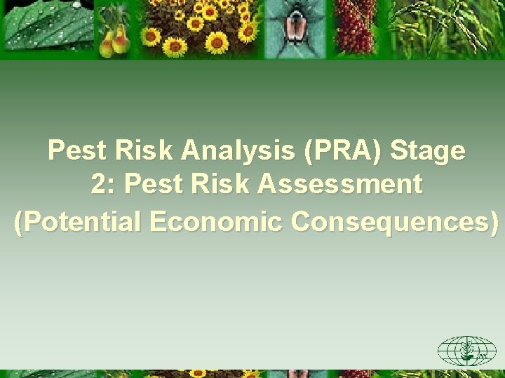 Pest Risk Analysis (PRA) Stage 2: Pest Risk Assessment (Potential Economic Consequences) 
