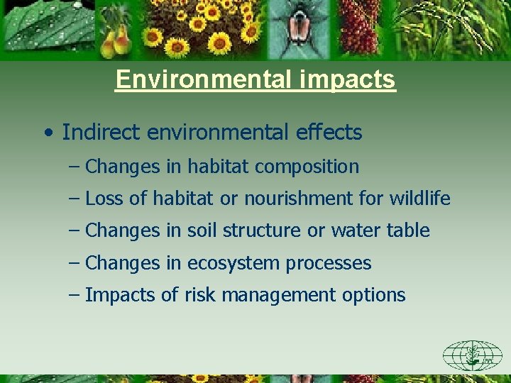 Environmental impacts • Indirect environmental effects – Changes in habitat composition – Loss of