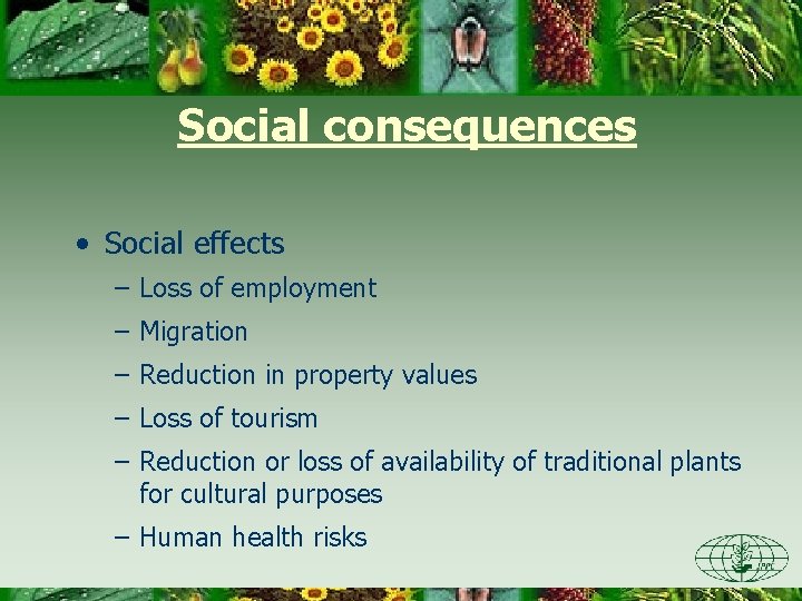Social consequences • Social effects – Loss of employment – Migration – Reduction in