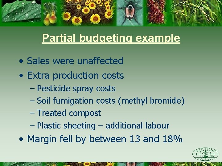 Partial budgeting example • Sales were unaffected • Extra production costs – Pesticide spray