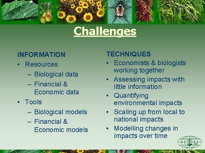 Challenges INFORMATION • Resources – Biological data – Financial & Economic data • Tools