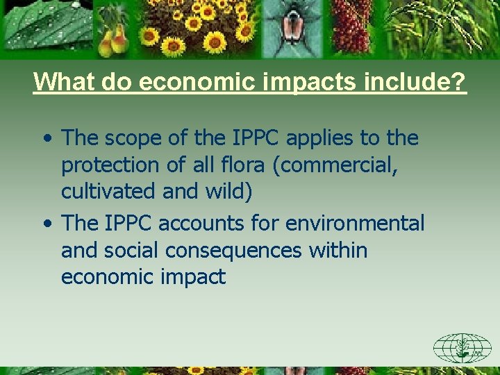 What do economic impacts include? • The scope of the IPPC applies to the