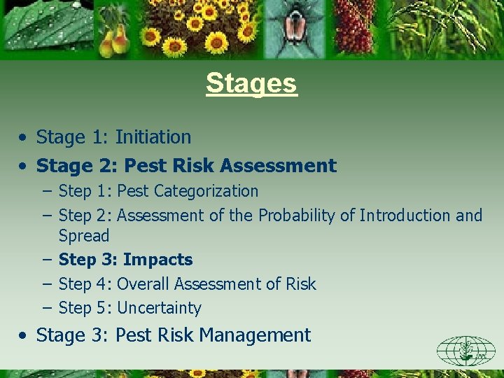 Stages • Stage 1: Initiation • Stage 2: Pest Risk Assessment – Step 1: