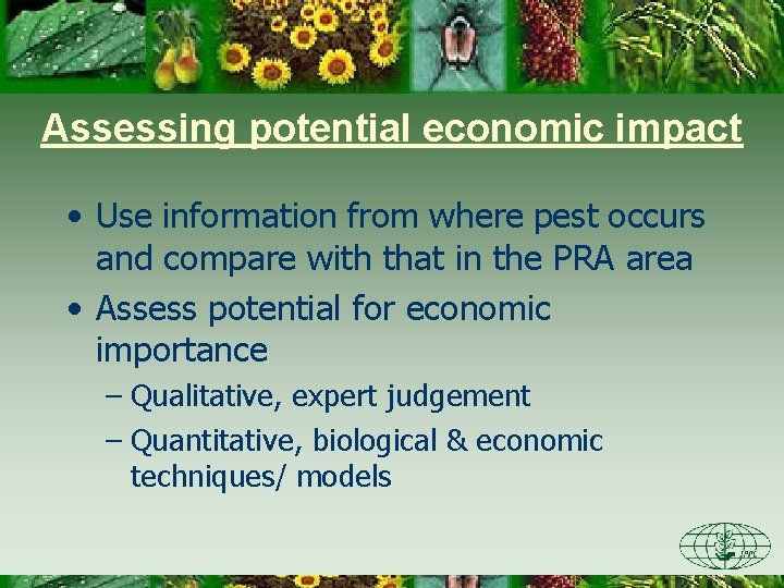 Assessing potential economic impact • Use information from where pest occurs and compare with